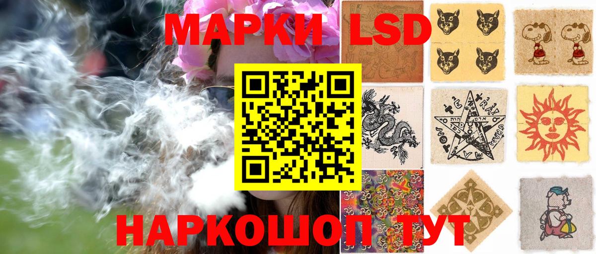 A PVP Касимов