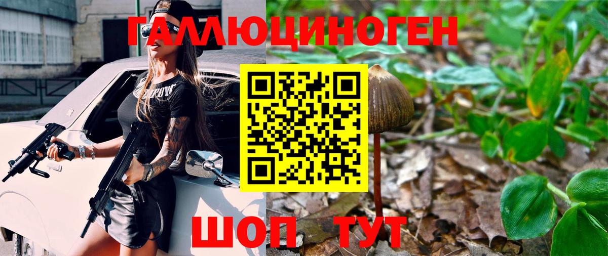 Псилоцибиновые грибы Magic Shrooms  Вход с VPN  Касимов  Галлюциногенные грибы Psilocybe 