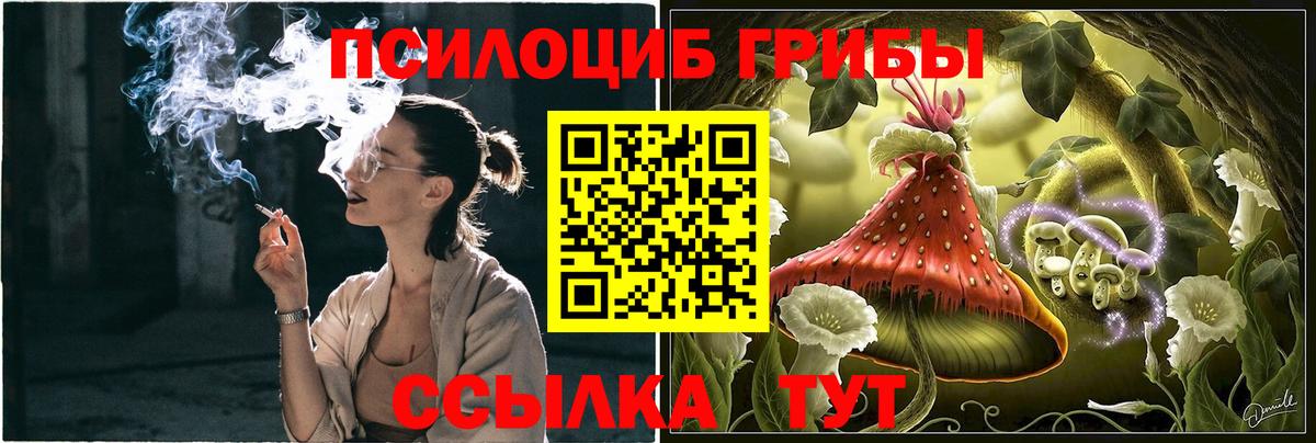 Галлюциногенные грибы Cubensis Касимов